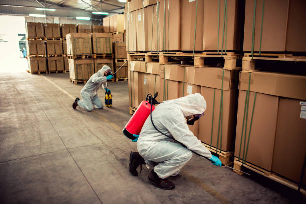 Best Pest Inspection Near Me  in Monroe, LA