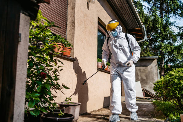 Best Wasp Removal Services  in Monroe, LA
