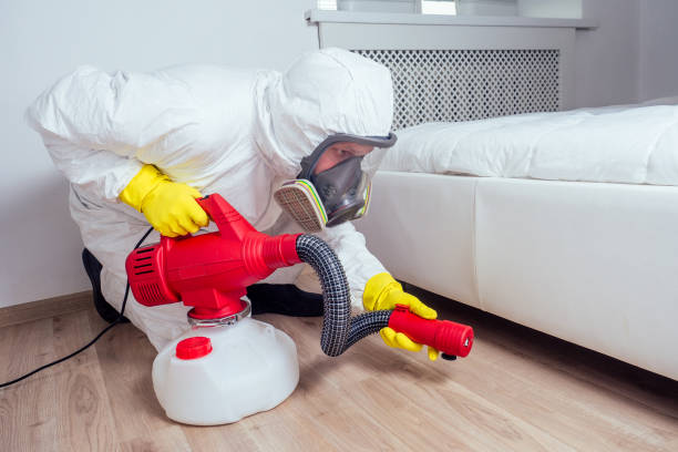Best Flea Control Services  in Monroe, LA