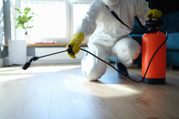 Flea Control Services in Monroe, LA