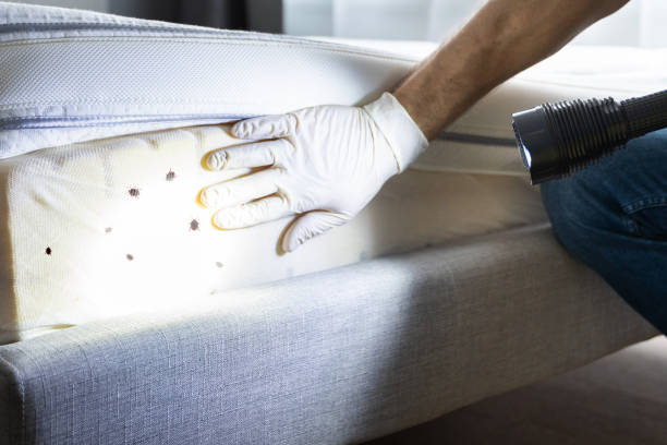 Best Best Pest Control Companies  in Monroe, LA